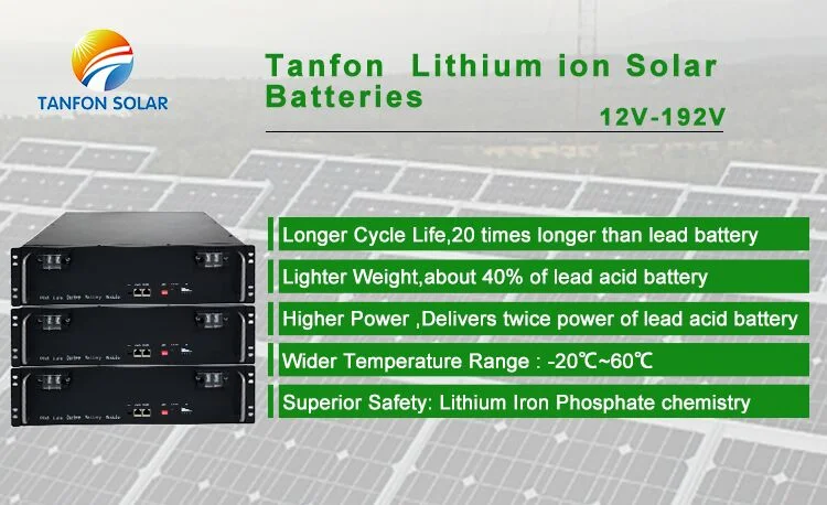 Lithium Battery Pack 48V 100ah LiFePO4 Battery Pack Traction Battery