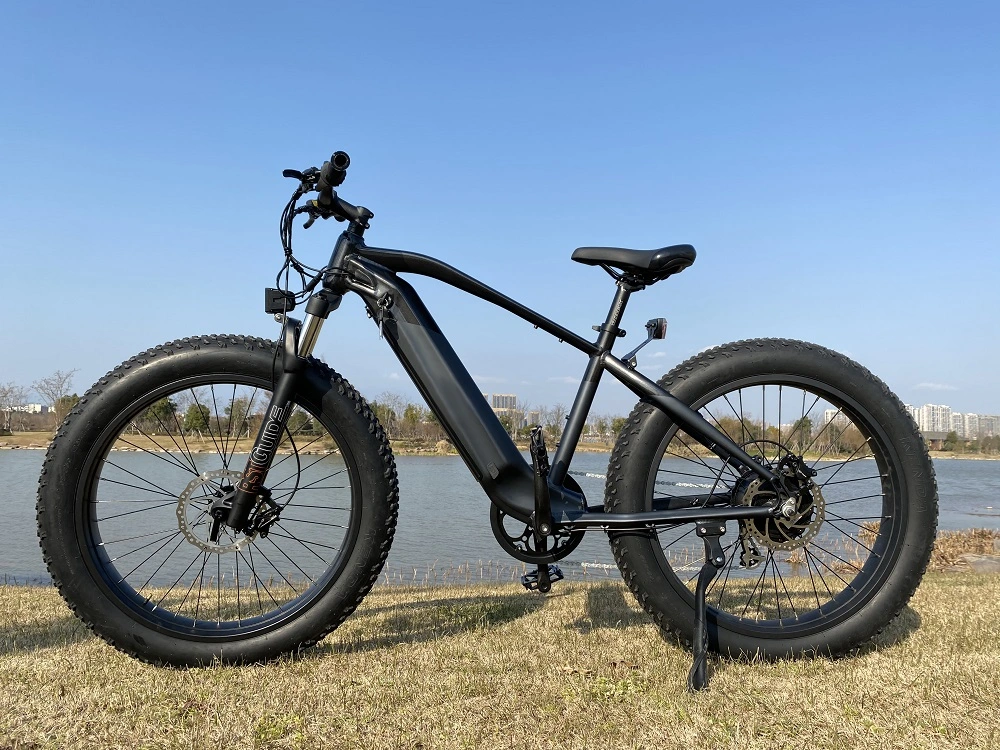 2021 Hot Selling 48V750W Fat Tire Electric Bike