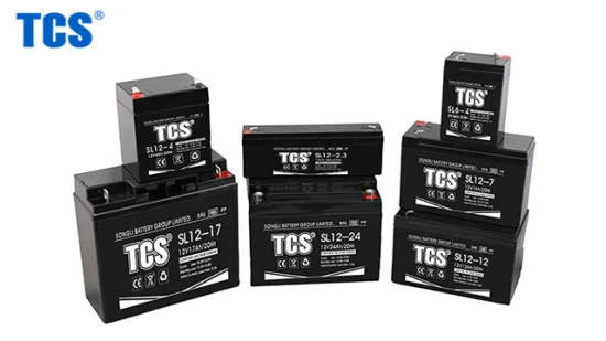 Tcs SL24-5 電源システム用 24V トラクションバッテリー